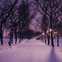 Late Snow