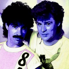 Man Eater  instrumental cover