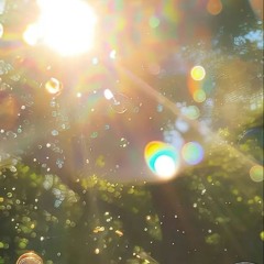 summer solitude (sunny mix)
