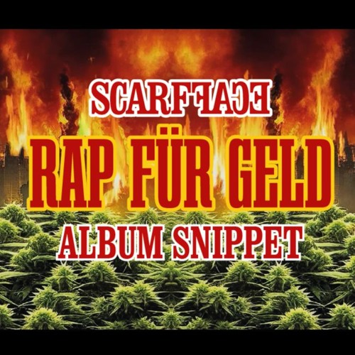Rap Für Geld (Album Snippet)