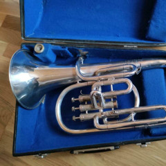 Shorten  Winter Suffer