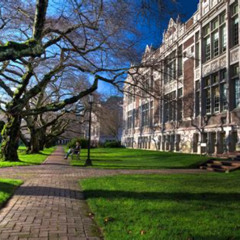Best Things To Do In University District Seattle Tours Reviews