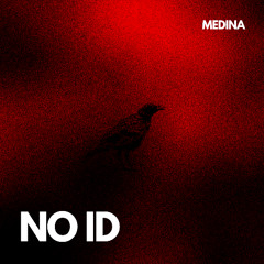 NO ID(Original Mix)