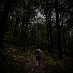 It's Getting Dark Out