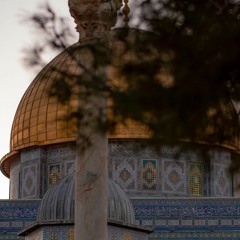 {وَلَقَدْ آتَيْنَا دَاوُودَ مِنَّا فَضْلًا} || بالترتيل اللامي العراقي