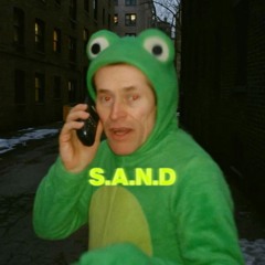 S.A.N.D