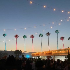 Golden Hour @ Coachella