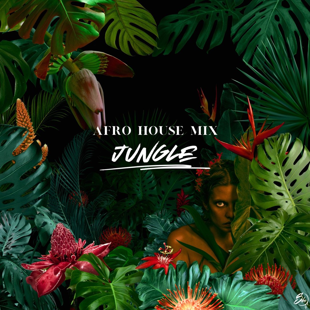 Stream Afro House Mix "Jungle" by Solo | Listen online for free on ...