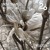 Artwork for inclu_dead 2 w/ Bryozone @ 20ft Radio - 12/04/2024