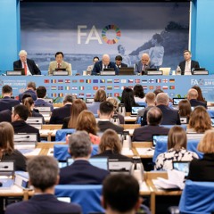 La FAO en Bref - 20 mai 2024
