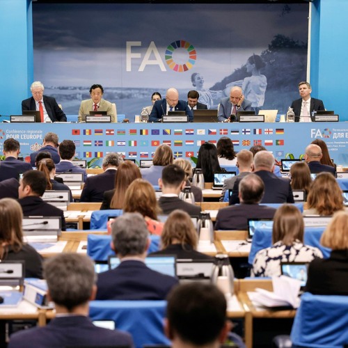 La FAO en minutos - 20 de mayo de 2024