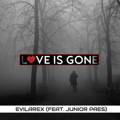 Evilarex - love is gone (feat. Junior Pais)