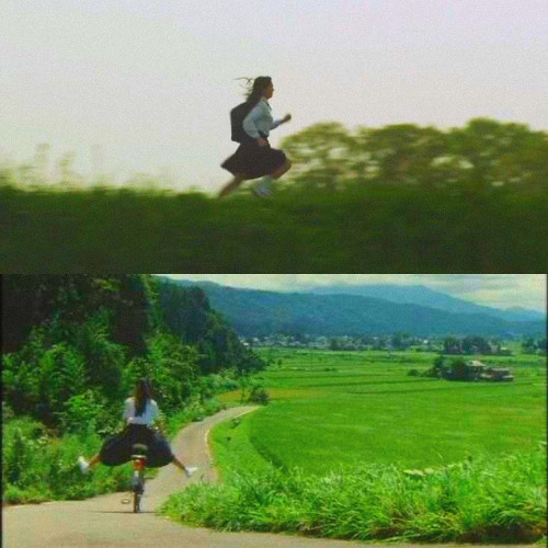 for what its worth p. pico