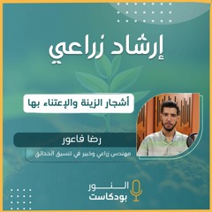 إرشاد زراعي | أشجار الزينة والإعتناء بها