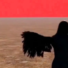 ANYTHING (prod nova)