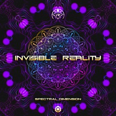 Invisible Reality - Spectral Dimension (Single)