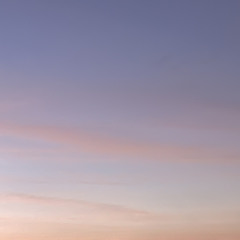 Vultures V2(Yeezy, Durk, Ty Dolla Sign)