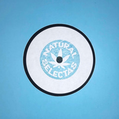 NATURAL SELECTAS - STAND FIRM (HAYES JUNGLE REMIX)
