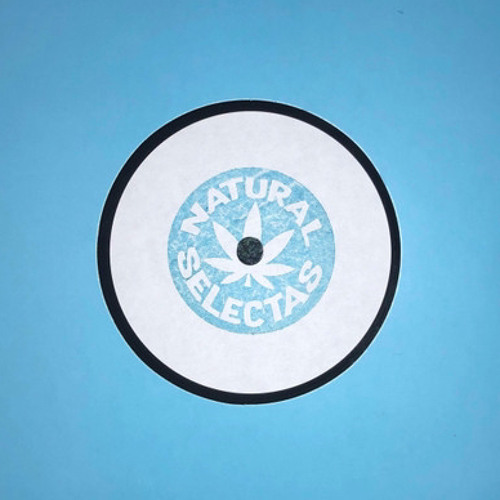 NATURAL SELECTAS - STAND FIRM (HAYES JUNGLE REMIX)