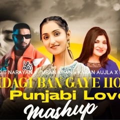 Zindagi Ban Gaye Ho Tum X Punjabi Love Mashup | DJ Dally | Bollywood vs Punjabi 2025