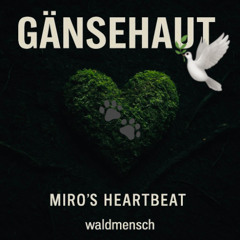 Miro's Heartbeat <<🌀>> Gänsehaut