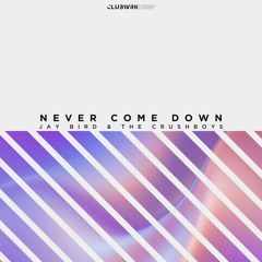 Jay Bird & The Crushboys - Never Come Down