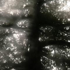 FAKETHIAS - Av Jord, Avfall