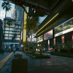 Shopping in the downtown