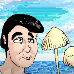 Pilotredsun - Aloe Filter