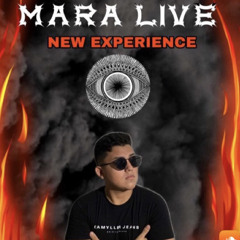 Maralive @New Experience