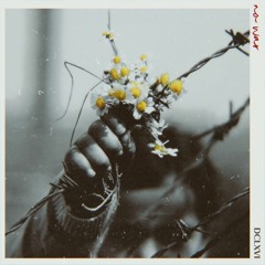 NO WAR [Now on Spotify & Apple Music]