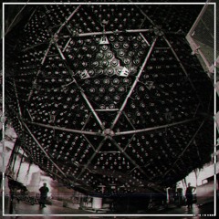 Hypermetabolism (Reconsidered)