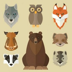 Fazanten Die Het Niet Begrijpen - Sarah Moens