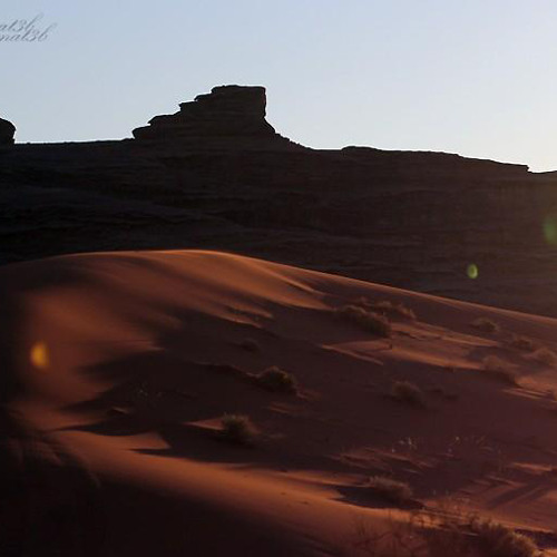 الله على شوف الغضي حزة عصير