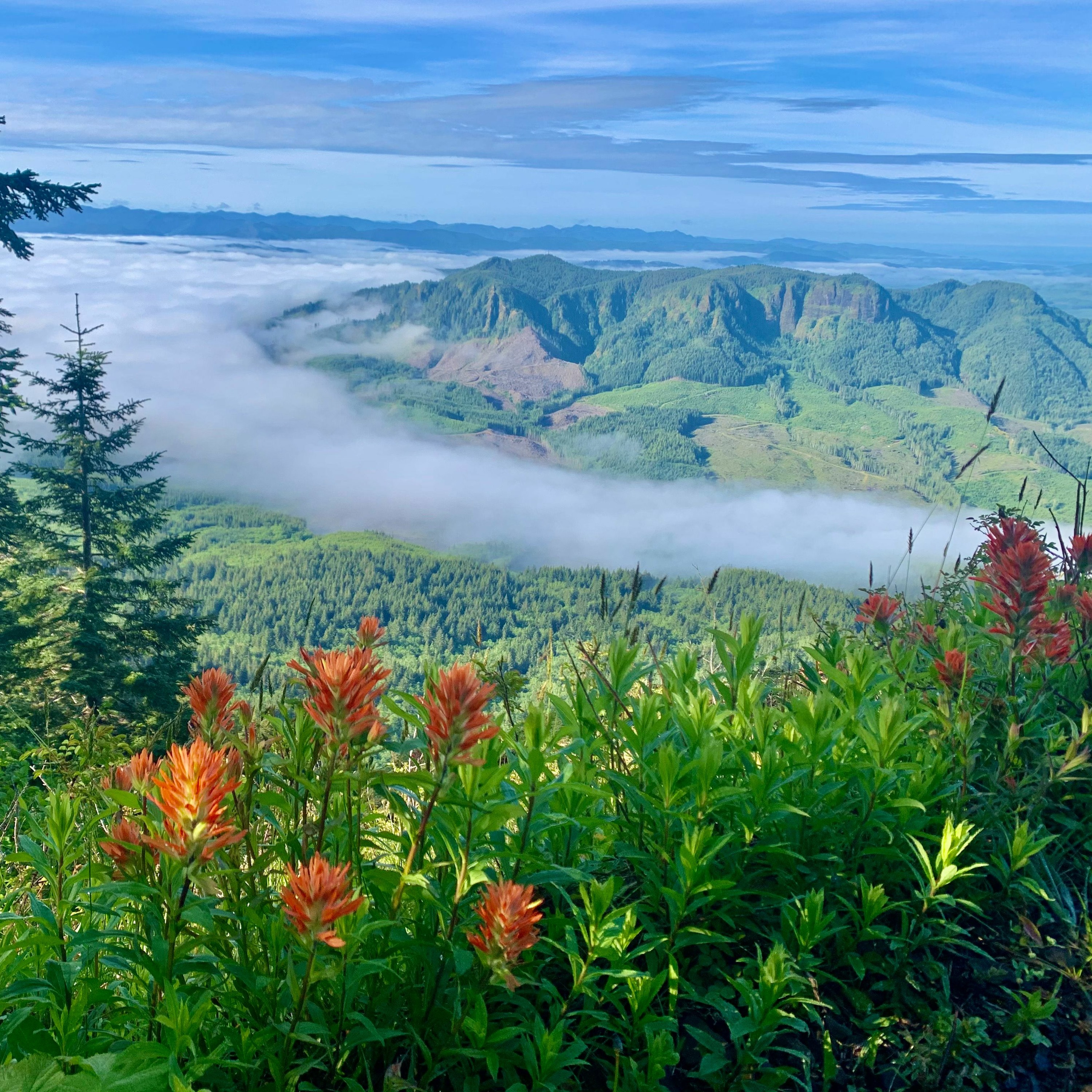 Explore Oregon Podcast: The state\'s most beautiful places and biggest issues