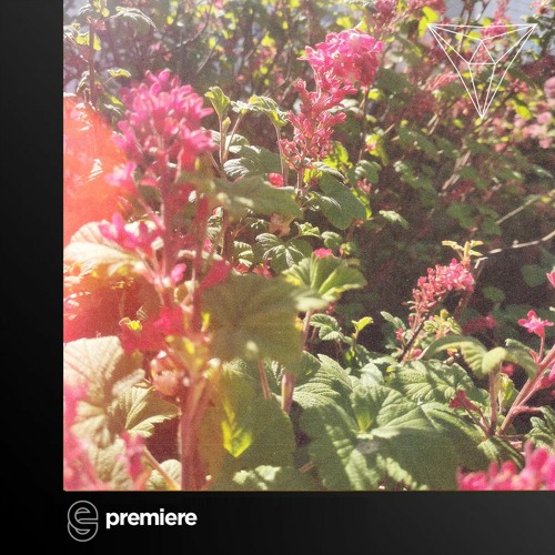 Premiere: Paul Roux - Blue Lines - Apex Faction