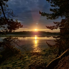 Clubbed to Death Again