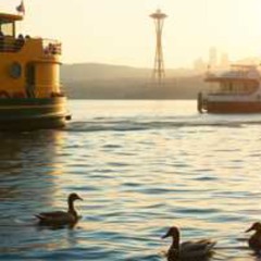 After Life (Bossa-Jazz)