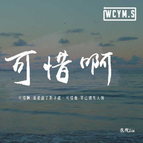 範倪Liu - 可惜啊「可惜啊 還是說了對不起，可惜他 早已消失人海裏」【動態歌詞/pīn yīn gē cí】