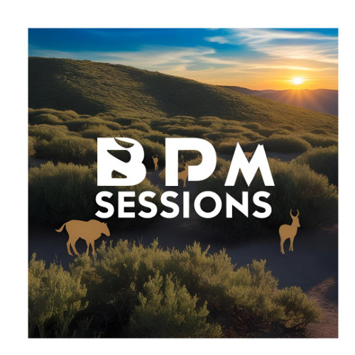 BPM Sessions 021-Afro Deep House Mix
