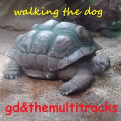 walking the dog