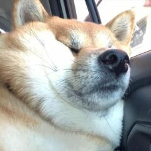 wendy wander - spring spring (short intro cover)