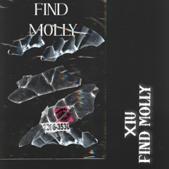 FIND MOLLY (XIU Extended Remix)