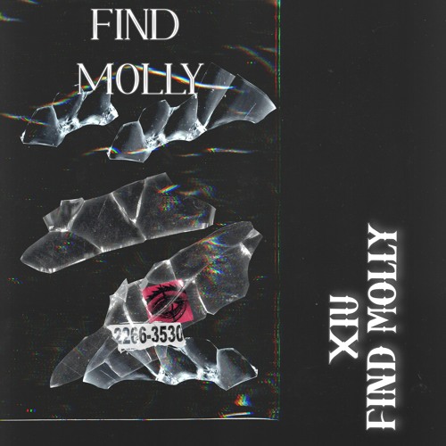 FIND MOLLY (XIU Extended Remix)