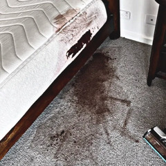 Vomit Stains