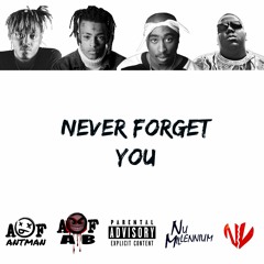 Never Forget You (feat. N/V, AFAB, & NU MILLENNIUM)