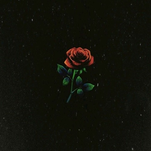 Losing Interest - paycheck 🥀
