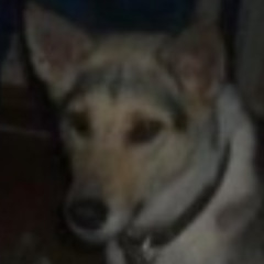 Omegatypez - Dirty Style (Starmasterz Bootleg) (Original Mix)