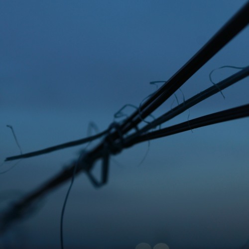 limited (bass boosted and slowed)