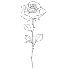 19 (stripped) original